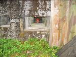 Sweden 2006-07 075